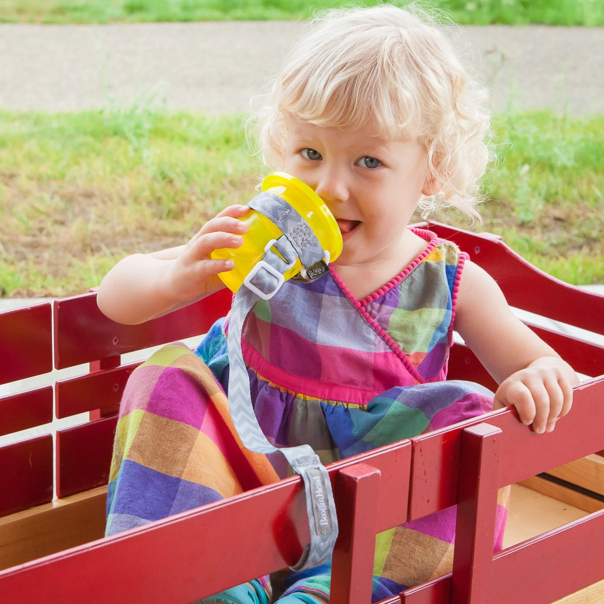 Multi-Pack SippiGrip Cup & Toy Holders