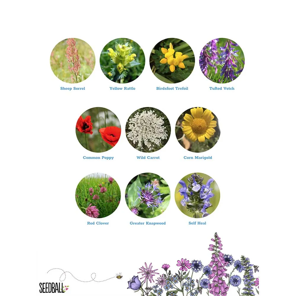 Seedball Wildflower Grab Bag - Wildlife Mix