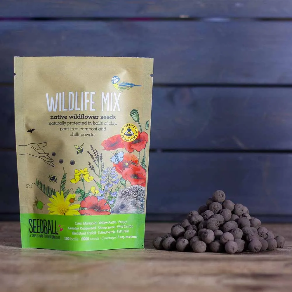 Seedball Wildflower Grab Bag - Wildlife Mix